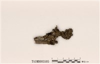 藏品(麗雙歧根梅衣)的圖片